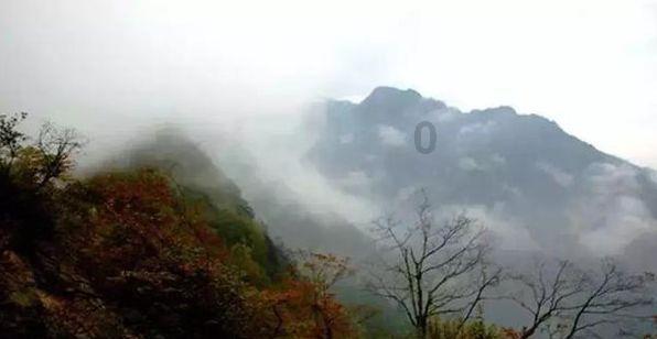 探索问题答案,畅享华为手机在哪看电池寿命有问必答平台