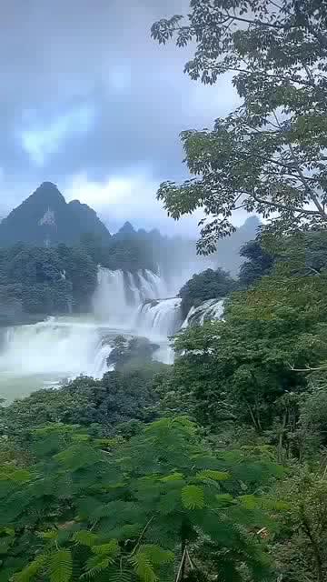 燃烧吧大脑装瓶子游戏